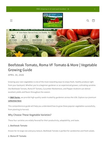 Beefsteak Tomato & Roma VF | Vegetable Growing Guide