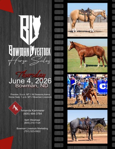 Bowman Livestock Horse Sale