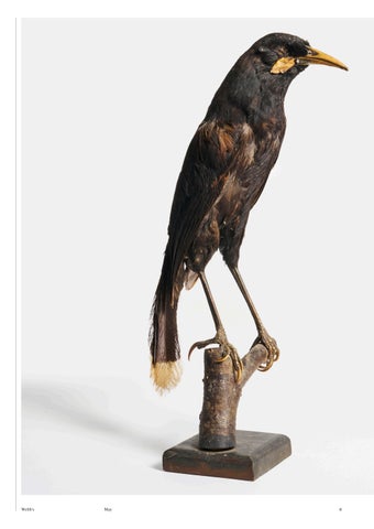 Material Culture, May 2026 第 6 页