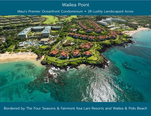 Wailea Point Amenities