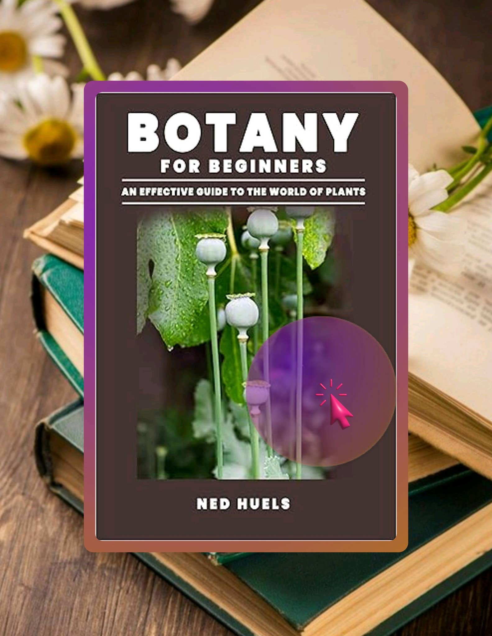 Botany Field Guide Page Example.pdf PDF Free Botany for Beginners: An Effective Guide to the World of ...