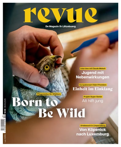 revue 19/2026