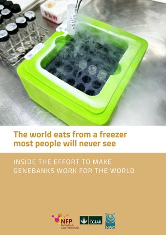 The world eats from a freezer most people will never see