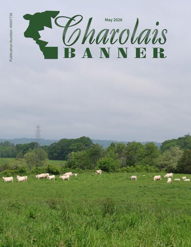 May 2026 Charolais Banner
