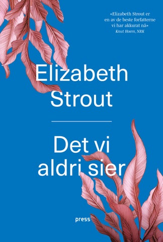 Det vi aldri sier av Elizabeth Strout