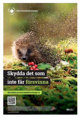 Fokus Hållbarhet #2601 第 2 页