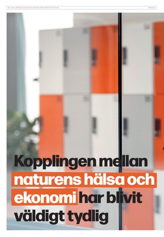 Fokus Hållbarhet #2601 第 4 页