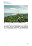 Issuu thumbnail