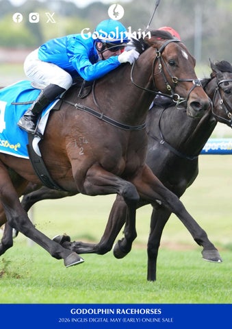 2026 Inglis Digital May (Early) Online Sale - Racehorses