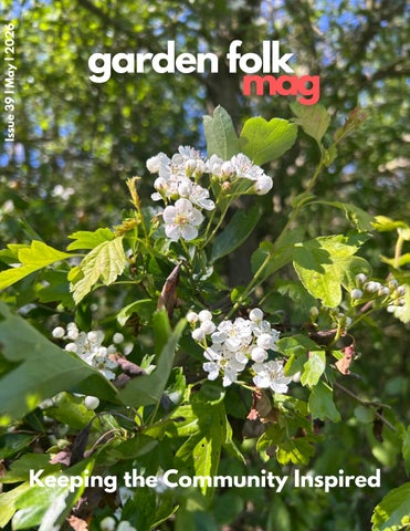 Issue 39 May 2026