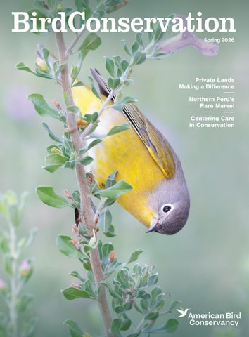 Bird Conservation - Spring 2026