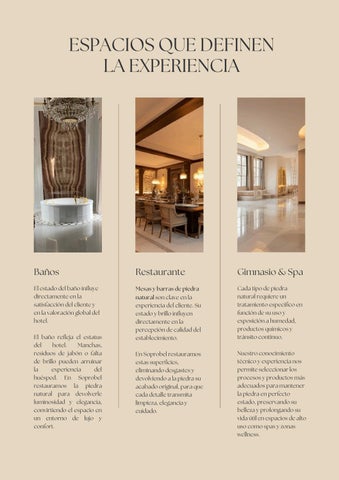 2026 Dossier Tratamiento Hoteles Soprobel 第 5 页