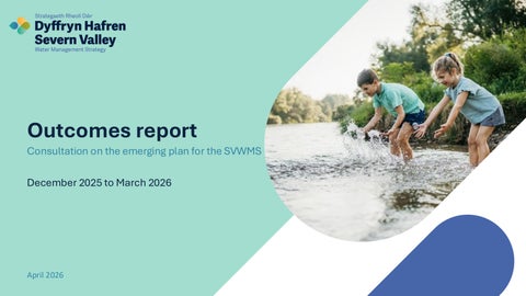 SVWMS Outcomes report on emerging plan v6