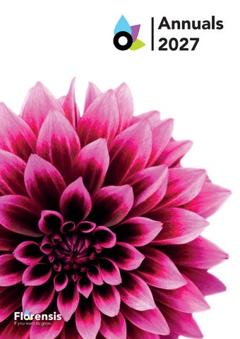 Annuals 2027_NL-EN-DE