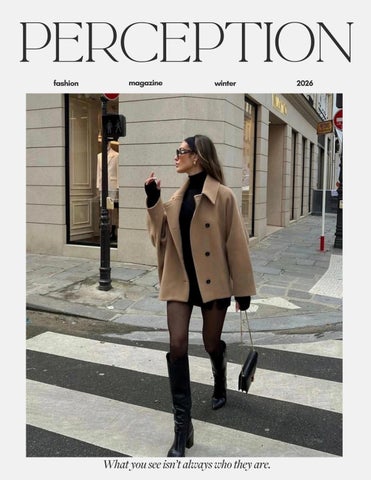 Perception Zine