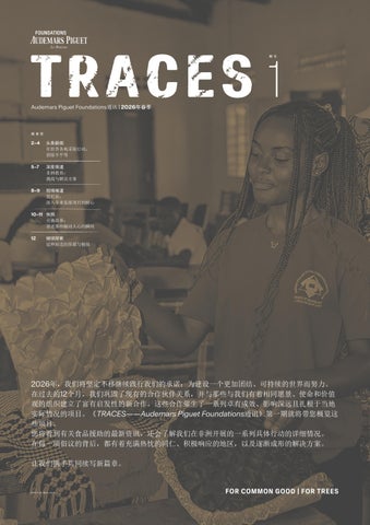 TRACES 1 (简体中文)