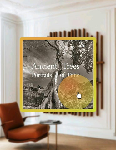 Download Ebook Ancient Trees: Portraits of Time by Beth Moon by ...