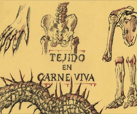 Tejido en carne viva