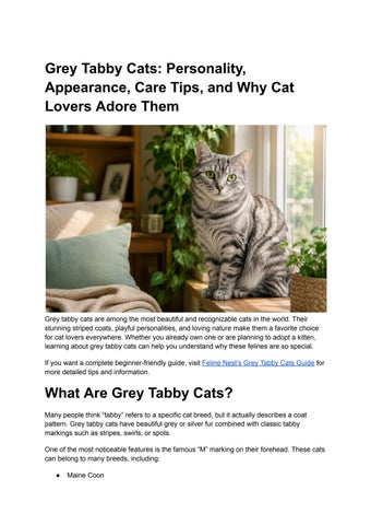 Grey Tabby Cats_ Personality, Appearance, Care Tips, and Why Cat Lovers Adore Them