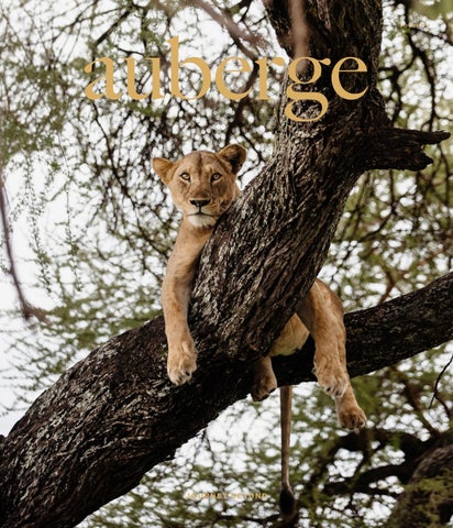 Auberge: Volume V