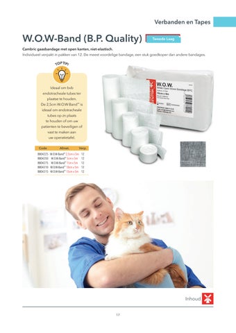 Millpledge Veterinary 荷兰 灯饰目录 第 17 页