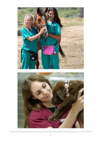 Millpledge Veterinary 荷兰 灯饰目录 第 4 页