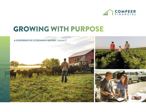 Cooperative Citizenship Report