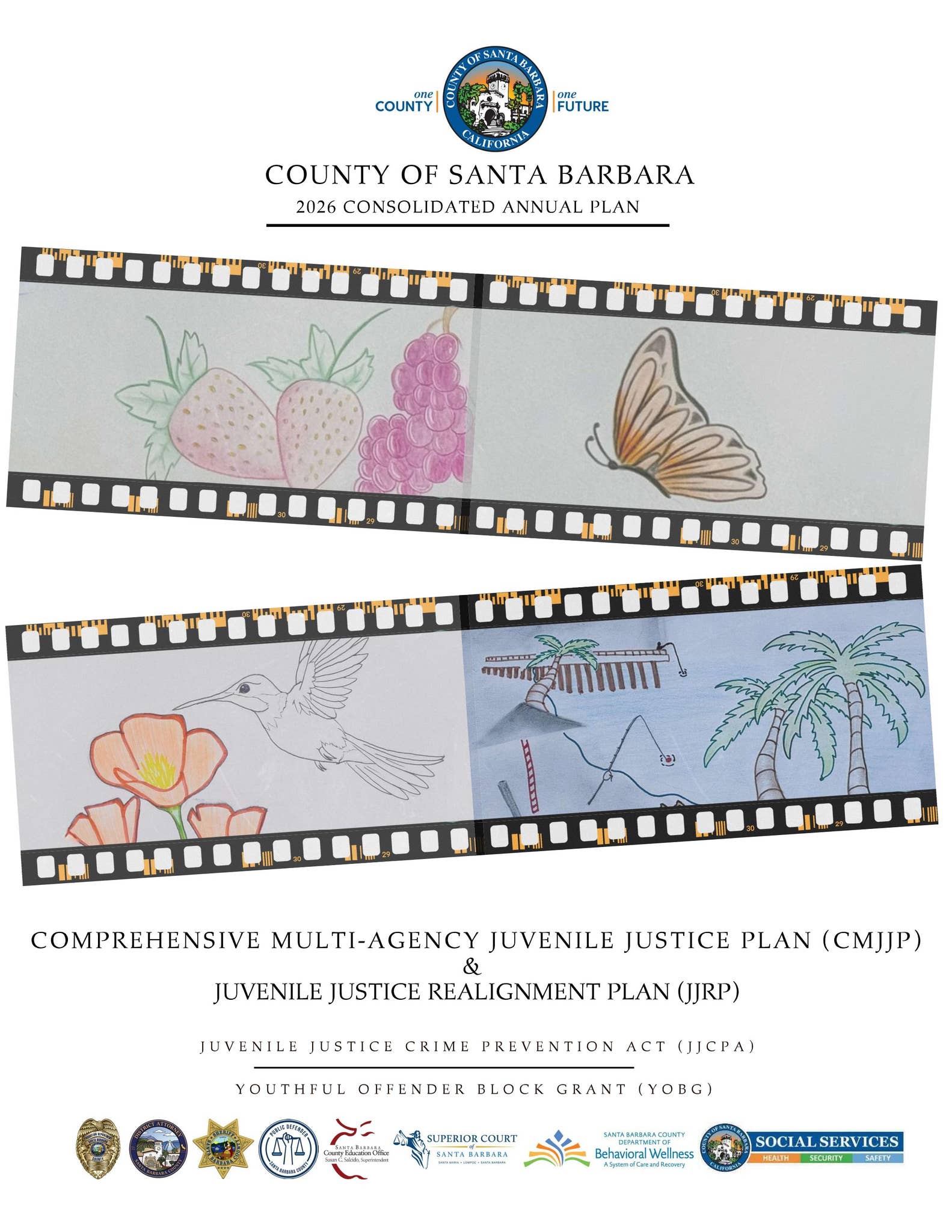 Comprehensive Multi-Agency Juvenile Justice Plan & Juvenile Justice ...