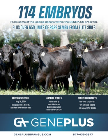 2026 G+ Embryo Catalog