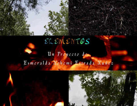 FOTOLIBRO-PIA 