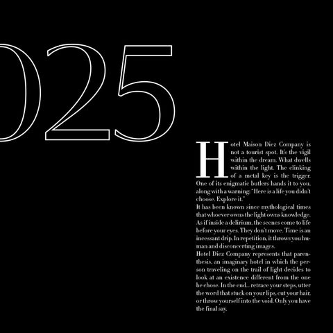 MEMOIRE DIEZ COMPANY 26 | English 第 8 页