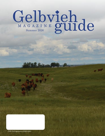 The Gelbvieh Guide Summer 2026