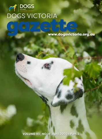 DV APRIL Gazette 2026 PART 2