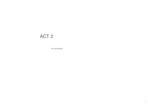 Phoebe Wells, Studio 3B, Making Visible The 窗帘 You Cannot See 第 17 页