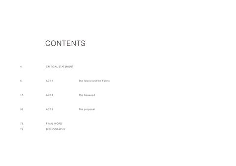 Phoebe Wells, Studio 3B, Making Visible The 窗帘 You Cannot See 第 3 页