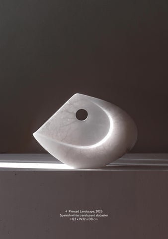 Oliver Cook | Soft Divide 第 17 页