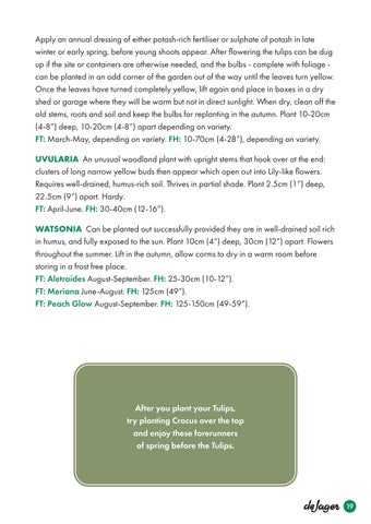 德文 Jager Planting 指南 第 21 页