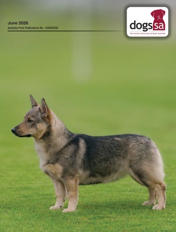 Dogs SA June 2026 web