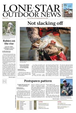 lone star outdoor news 052226