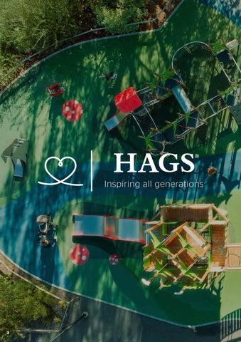 HAGS Jogar 第 2 页