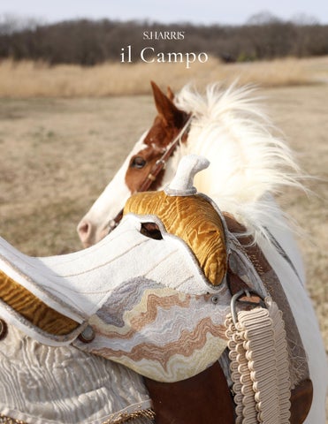 S. Harris il Campo Lookbook