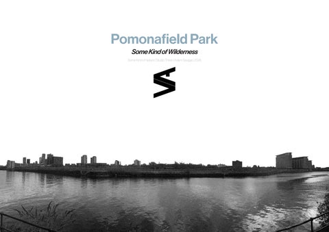 Pomonafield Park - Some Kind of Wilderness - Studio Three
