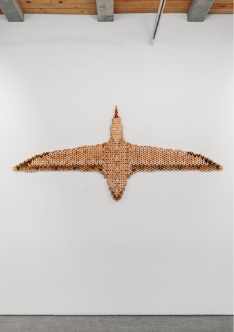 Brigham × Atarangi Anderson, Maija Stephens × Elena Rei, May 2026 第 11 页