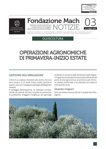 FONDAZIONE MACH NOTIZIE OLIVICOLTURA N 3_2026
