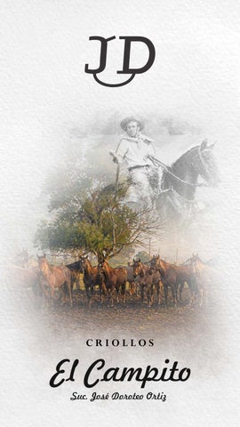 Catálogo El Campito Suc. José Doroteo Ortiz