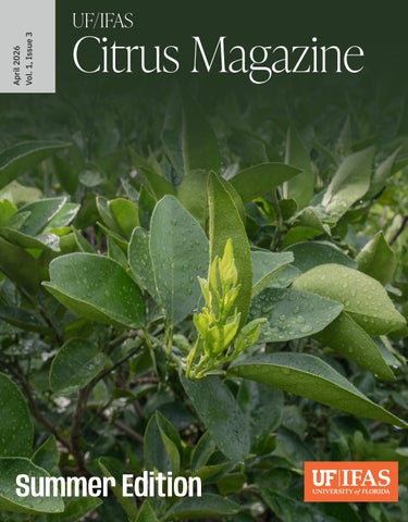 UF/IFAS Citrus Magazine - April 2026