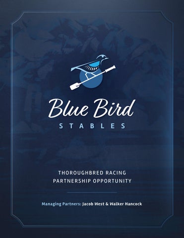 2026 Blue Bird Brochure