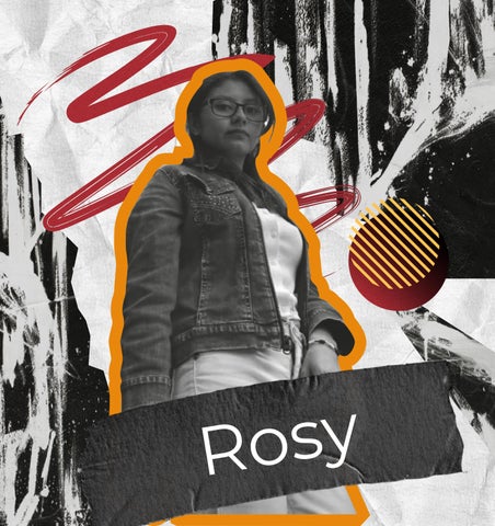 Rosy Pineda - Diseño 6