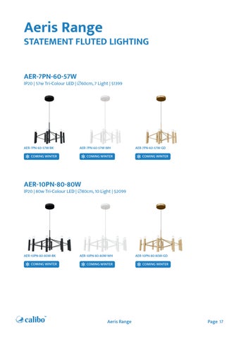 Calibo Release 3 - Sale Sheets 第 17 页