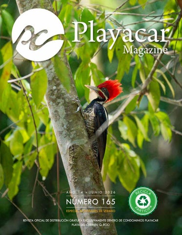 PLAYACAR MAGAZINE JUNIO 